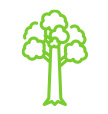A tree icon