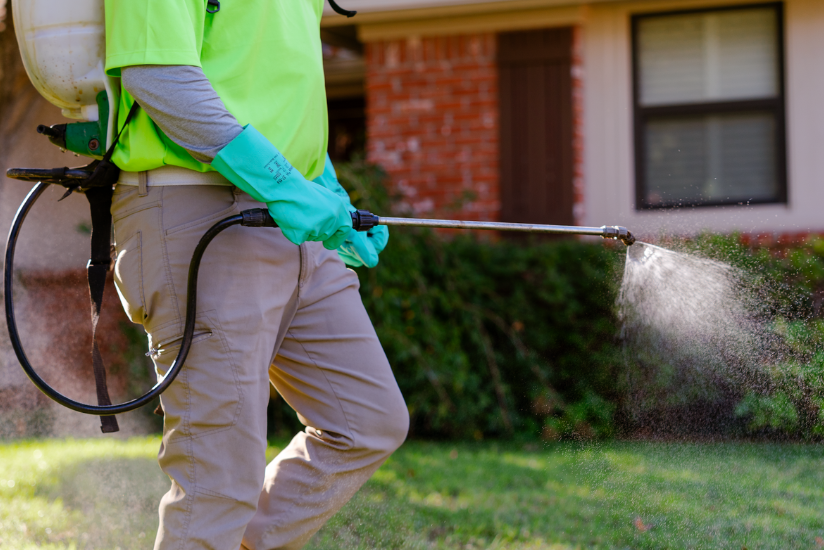 lawn weed control spraying