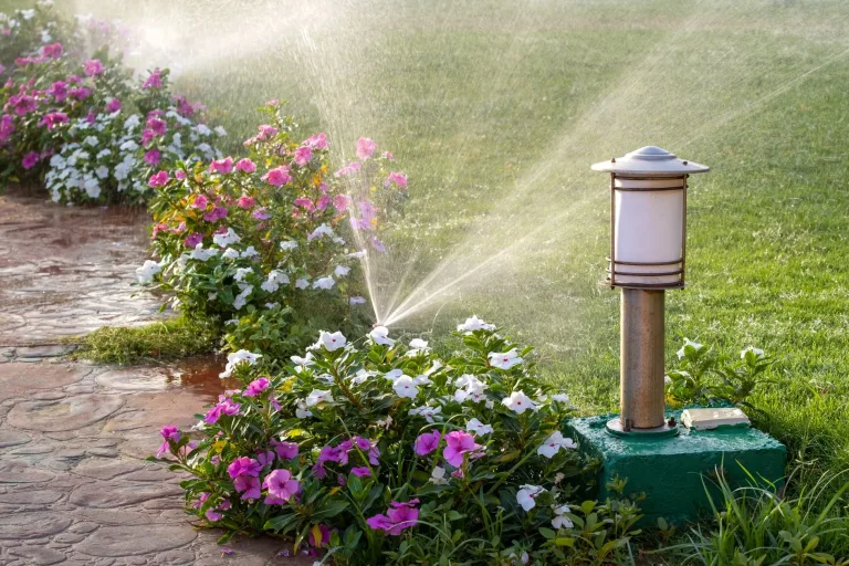dallas lawn watering tips, dallas lawn care, lawn tech