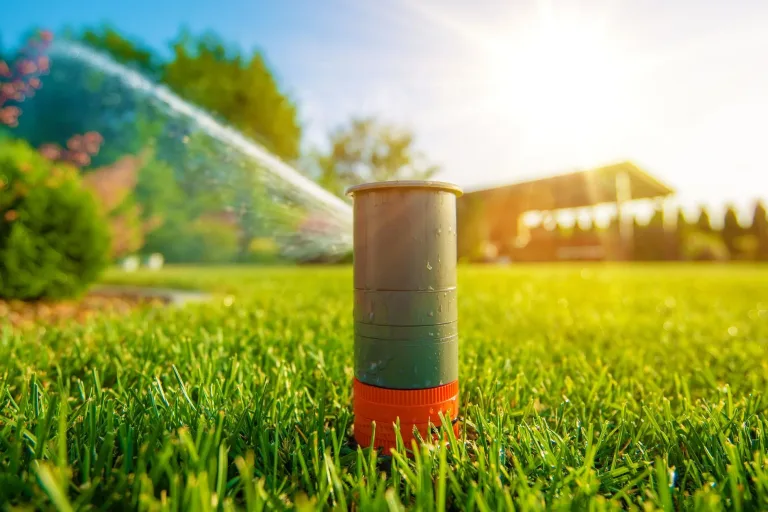 lawn sprinkler, drought stress in texas lawn, lawn tech, dallas tx