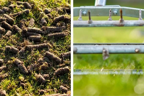 core aeration vs spike aeration side by side photos compaing core aeration vs spike aeration