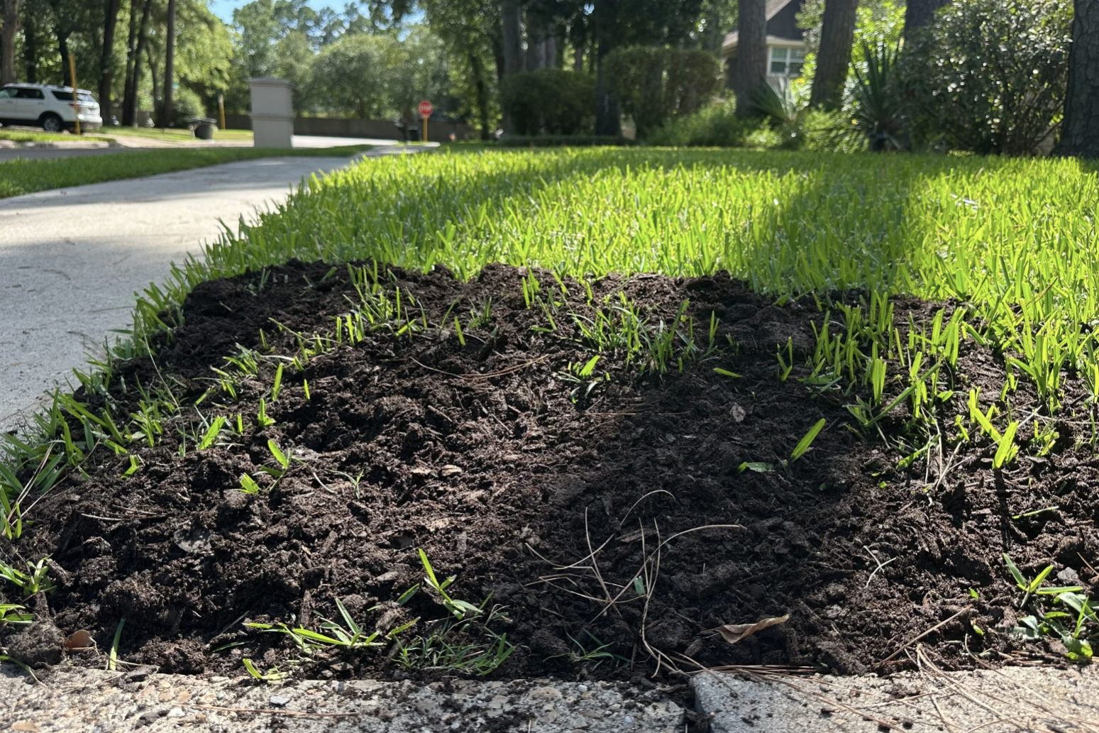 lawn top dressing, topsoil on patch of grass